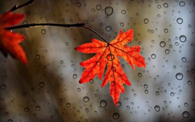 Zile de Month Breaker – Luna Noiembire