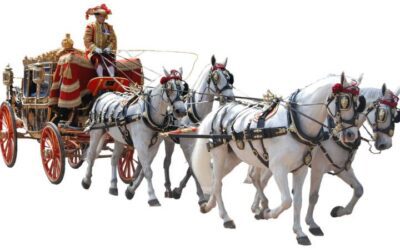 Nobles in our life – „He is a nobleman!”