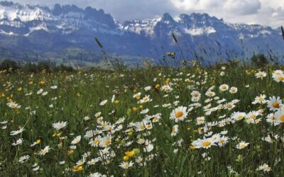 Luna Mai – Previziuni, o Analiza si Zilele Favorabile ale Lunii