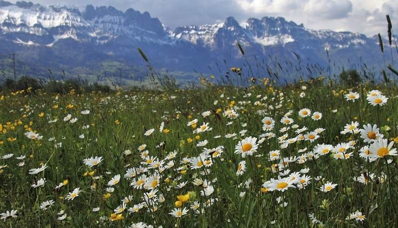 Luna Mai – Previziuni, o Analiza si Zilele Favorabile ale Lunii