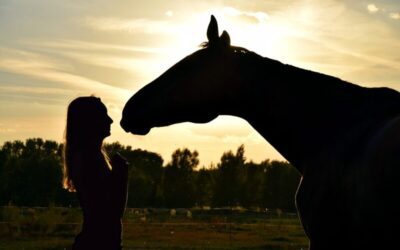 Previziunile Lunii Iunie – BaZi, Feng Shui, Qi Men, Selectare de Date