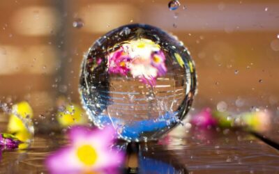 August Hai sa Vedem ce ne Rezervi