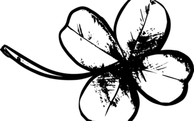 August – Zile Bune sa se Adune