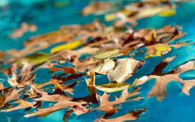 Septembrie din Punct de Vedere al Metafizicii Chineze I