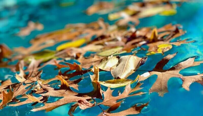 Septembrie din Punct de Vedere al Metafizicii Chineze I