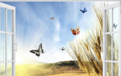 După o perioadă grea mereu vin timpuri mai frumoase!