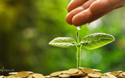 Feng Shui sau Banii? Ceva Legătură?