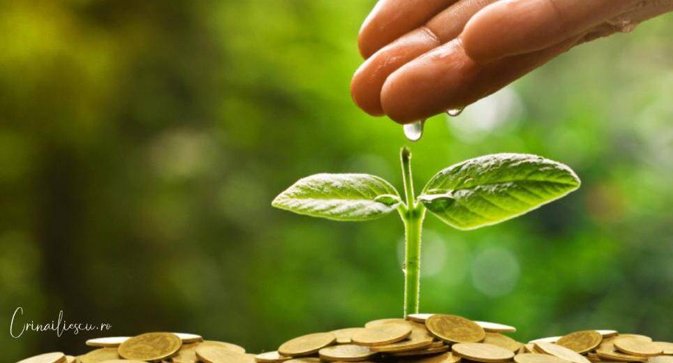 Feng Shui sau Banii? Ceva Legătură?