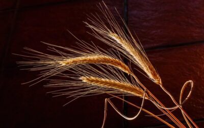 Yi Day Master – Yin Wood (⼄)