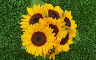 July- I know, I know…it’s July