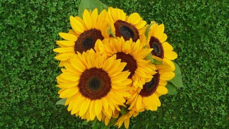 July- I know, I know…it’s July