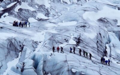 The Tao of Leadership – The Group Field