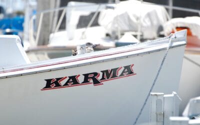 Trădarea si Lectiile Karmice. Tradarea asta Nenorocită… (I)